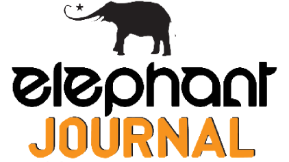 elephant journal