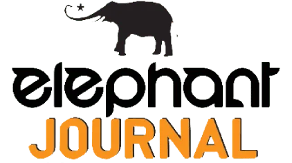 elephant journal